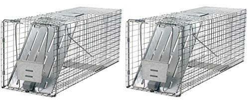 Havahart 1079 Large 1Door Humane Animal Trap for Raccoons Cats Groundhogs Opossums 2 Pack