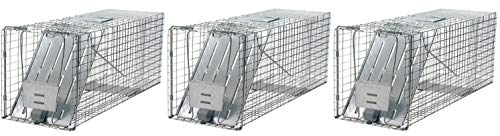 Havahart 1079 Large 1Door Humane Animal Trap for Raccoons Cats Groundhogs Opossums (Pack of 3)