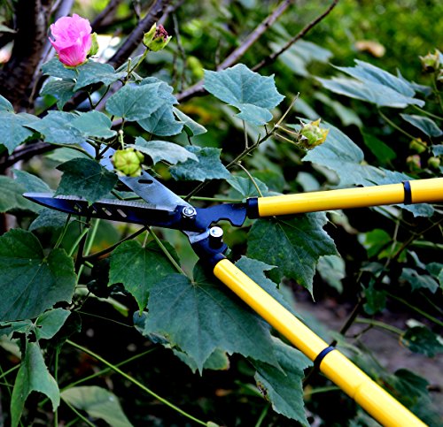 TELESCOPING 22 HEDGE CLIPPERS - Sharp Easy to Use Carbon Steel Garden Shears Absorb Shock Resist Corrosion - Hardened Manual Telescoping Hedge Trimmer for Professional Gardening and Landscaping