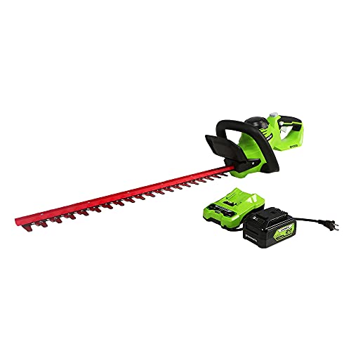 Greenworks 24V 22 (Laser Cut) Hedge Trimmer 4Ah USB Battery and Charger Included HT24B414