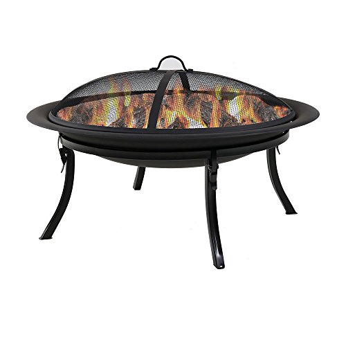 Sunnydaze Portable Outdoor Fire Pit Bowl  29 Inch Round Bonfire Wood Burning Patio  Backyard Firepit for Outside with Spark Screen Fireplace Poker Folding Stand and Carrying Case Cover