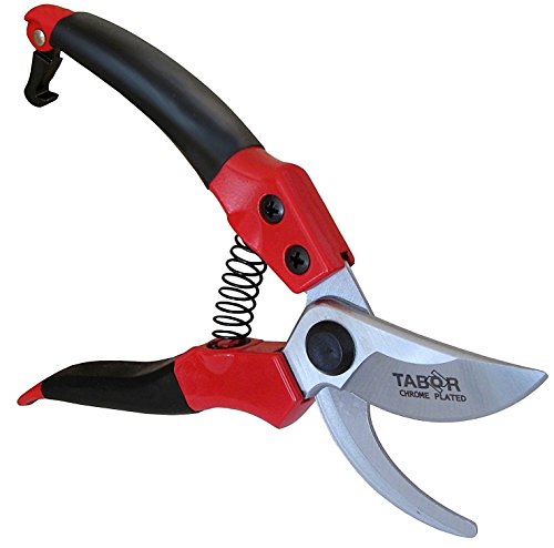 TABOR TOOLS S821A Bypass Pruning Shears Makes Clean Cuts Great for SM Size Hands Professional Sharp Secateurs Hand Pruner Garden Shears Clippers for The Garden