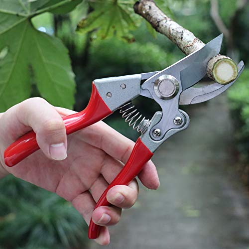 TOOLMOOM Garden Shears Professional Hand Pruners Heavy Duty Bypass Pruning Shears (Red)