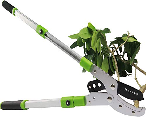 Mesoga Bypass Lopper with Extendable Anvil Lopper Heavy Duty Tree Trimmer Telescopic 2641 Inch Garden Pruner 5 Sections Handle Adjustment Branch Cutter with 2 Inch Cut Capacity