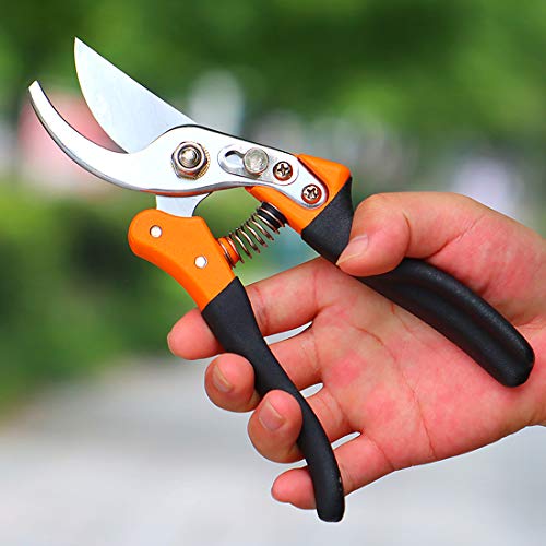 TOOLZYZ Pruning Shears Hand Pruner with Stainless SK5 Steel Blades 86 Tree Trimmers Secateurs Garden Shears Tools Clippers for The GardenBlack