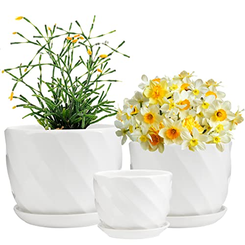 Plant Pots 405  551  677 Flower Pot Laerjin Ceramic Garden Plant Pots with Connected Saucer for Garden Set of 3 in Different Sizes