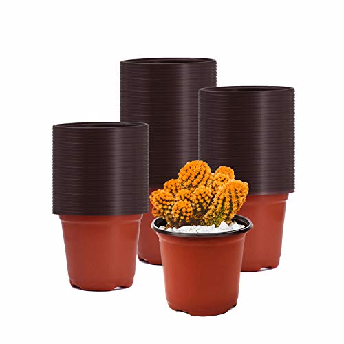 SDVJLKV 60 Pcs 6 Inches Plastic Plant Nursery Pots Seed Starting Pot Flower Plant Container Garden Pots