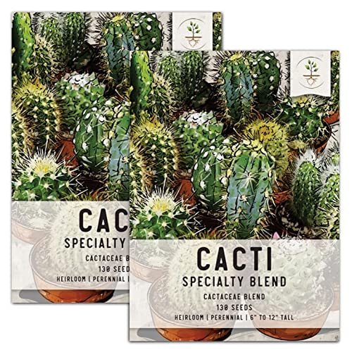 Seed Needs Cacti  Cactus Seeds (Specialty Blend) Twin Pack of 130 Seeds Each