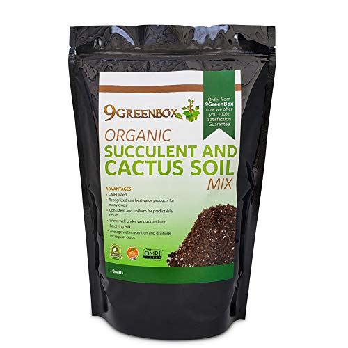 9Greenbox Organic Succulent and Cactus Soil Mix  OMRI Listed 100 Organic and AllNatural Gardening Potting Blend  WellDraining Substrate for Planting Indoor Plants Herbs Vegetables  2Quart