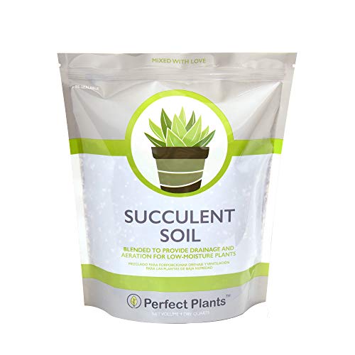 All Natural Succulent and Cactus Soil Mix by Perfect Plants  Made in The USA  4 Quarts for All Succulent Varieties  Formulated for Proper Drainage