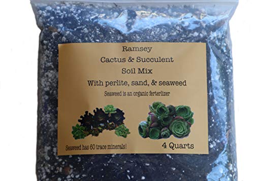 Organic Succulent and Cactus Soil Mix Potting Soil with Seaweed Perlite and SandFast Draining PreMixed Course Blend (4 Quarts)