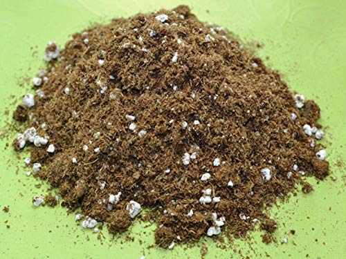 Succulent  Cactus Potting Soil Mix Peat Moss  Perlite (3 Cups  1 Quart)