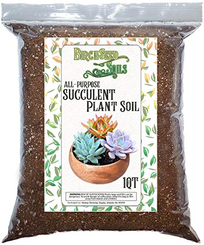 Succulent Plant Soil Natural AllPurpose Cactus Aloe Vera and Succulent Potting Soil 1 Quart Sized Bag Premium Fast Draining Mix