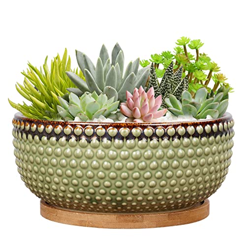 EPFamily 8 Inch Ceramic Succulent Shallow Planter Pot with Drainage Hole and Saucer Beaded Stoneware Planter for Indoor Plants Green