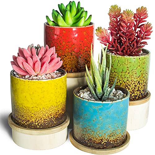 Succulent Pots 38 Inch Succulent Planter Pot with Drainage and Tray Small Ceramic Pots for IndoorOutdoor Plants Cactus Flowers Set of 4