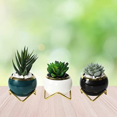 Succulent Pots for Plants Cacti Flowers with Stand and Drain Hole for Home Office Desk Gift Wedding Kitchen Living Room Set of 3 White Green Black (Plants Not Included)