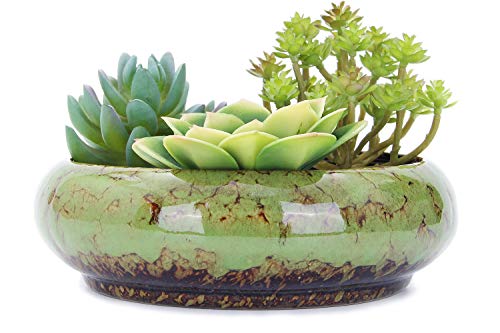 VanEnjoy 73 inch Round Large Shallow Succulent Ceramic Glazed Planter Pots with Drainage Hole Bonsai Pots Garden Decorative Cactus Stand Flower Container (Green)
