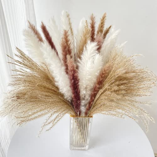 60 Pcs  3 Different Types with 20 Pcs Each Natural Pampas Grass Decor 177 Extra Fluffy Pampas Grass Small Boho Decor for Indoor and Outdoor Dried Grass Wedding Pampas Home Decor with Easy