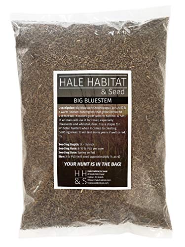 Hale Habitat  Seed Big Bluestem Native Grass Seed Deer Wildlife Cover 2 lbs Pure Live Seed