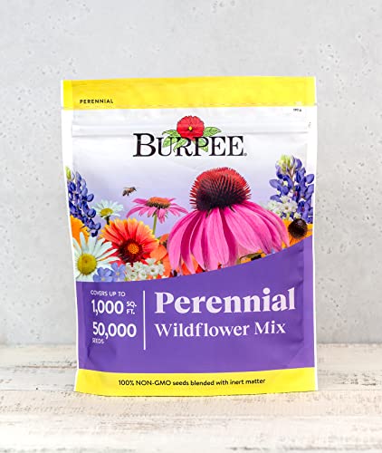 Burpee Wildflower 50000 Bulk 1 Bag  18 Varieties of NonGMO Flower Seeds Pollinator Garden Perennial Mix