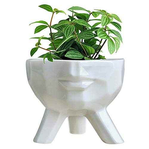 GeLive Indoor Ceramic Face Planter Cute Head Succulent Plant Pot Modern Statue Artistic Flower Vase Bonsai Windowsill Box Urn for Home Decoration (Large White)