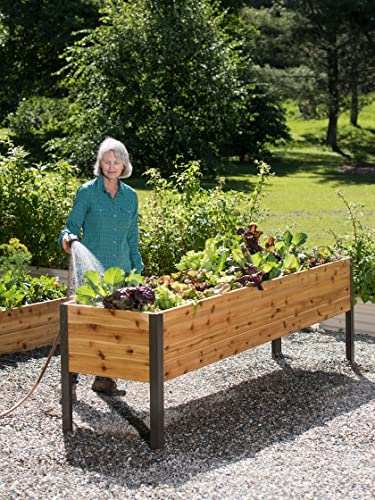 Raised Garden Bed Elevated Cypress Planter Box 2 x 8 Standing Garden Allows 16 Square Feet of Growing Space Perfect for Deck Patio or Backyard