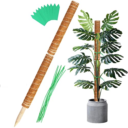 Augshy 27 Inches Moss Poles  2 Pcs 17 Inches Plant Stakes Moss Sticks for Monstera Indoor Creepers Plant Support Extension Climbing Plants