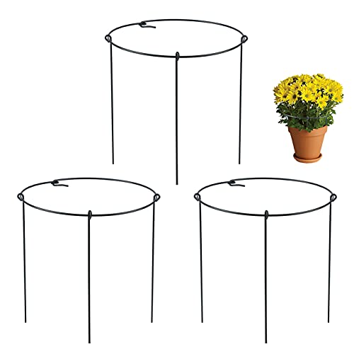 GARDENAID 3 Pack Plant Support Ring Green Steel Plant Cage for Potted Plant and Leafy Plant