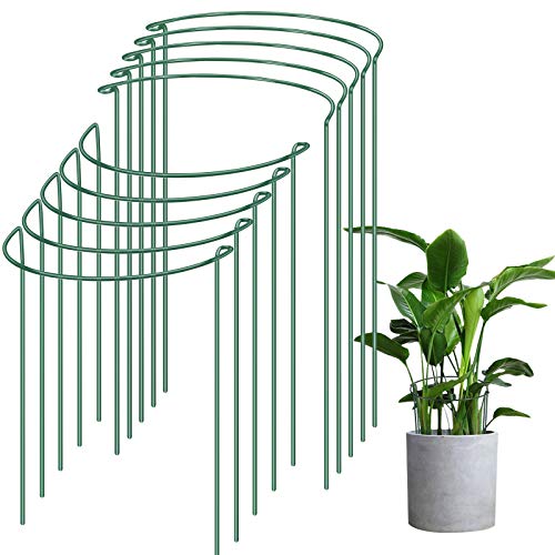 IPSXP Plant Support Stake 10Pack Half Round Metal Garden Plant Supports Green Garden Plant Support Ring Garden Border Supports Plant Support Ring Cage for Tomato Roses Hydrangea Flowers Vine