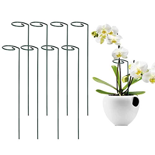 IPSXP Plant Support Stakes 8 Pack Plant Stem Support Rings with 25 Hoop Single Stem Support Stake Plant Cage Support Ring for Flowers Tomatoes Peony Lily Rose(40 cm 158)