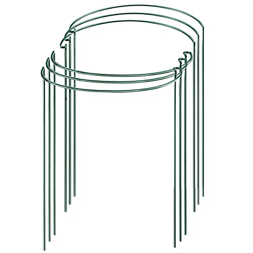 JOYSEUS 6 Pack Plant Support Stakes Metal Garden Plant Stake Green Half Round Plant Support Ring Plant Cage Plant Support for Peony Tomato Rose Vine Indoor Plants (94 Wide x 147 High)