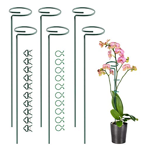 KLATIE 6 Pack 16 inch Plant Support Stakes Garden Plant Stakes Single Stem Plant Support with 10 Pack Plant Support Clips  10 Pack Plant Twist Ties for Amaryllis Orchid Lily Rose Tomatoes