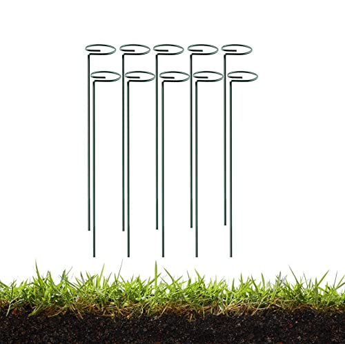 MTB Green 36 inch Single Stem Plant Stakes Flower Support Rings Pack of 10Gardening Planter Cages for Single Stem Flowers AmaryllisPeony LilyNarcissus
