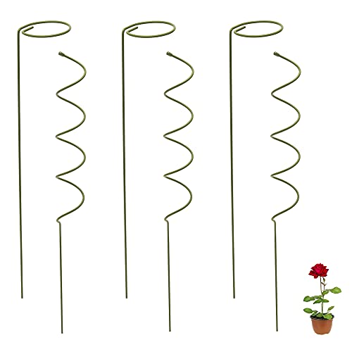 Stem Plant Support Stakes  16 inches 3x Single Stem Flower Stakes and 3x Spiral Support for Climbing Plants Garden Stakes and Support for Potted Plants Rose Orchid Lily Dahlia Clematis Ipomoea