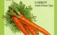 Ferry-morse-3028-Organic-Carrot-Seeds-Scarlet-Nantes-Type-2-5-Gram-Packet-4.jpg