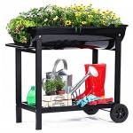 Aveyas-Mobile-Metal-Raised-Garden-Bed-Cart-with-Legs-Wheels-Elevated-Tall-Planter-Box-with-Lower-Shelf-for-Outdoor-Indoors-Home-Patio-Backyard-Vegetables-Tomato-Herb-DIY-Easy-Grow-Black-32-inch-1.jpg