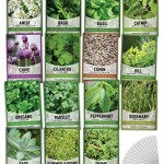 15-Herb-Seeds-For-Planting-Varieties-Heirloom-Non-GMO-5200-Seeds-Indoors-Hydroponics-Outdoors-Basil-Catnip-Chive-Cilantro-Oregano-Parsley-Peppermint-Rosemary-and-More-By-Gardeners-Basics-1.jpg