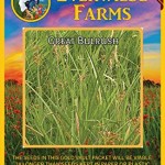 Everwilde-Farms-1000-Great-Bulrush-Native-Grass-Seeds-Gold-Vault-Jumbo-Seed-Packet-1.jpg